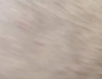 Arab Gay Threesome Fuck My Friend Ass