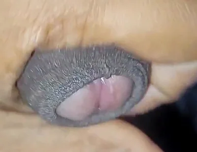 Desi Vergin Teen Gay Boy Jerking Himself