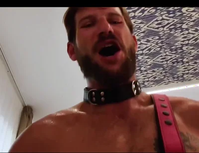 Anal Best of 2025