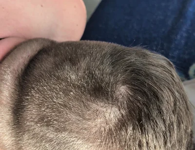 Hairy Stepdaddy Rimming and Railing His Fuck Toy and Cums a Lot