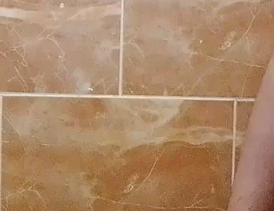 I Made a Video in the Toilet While Taking a Shower.