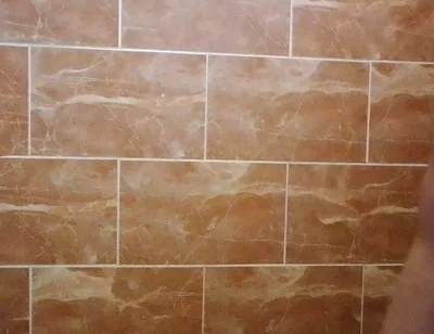 I Made a Video in the Toilet While Taking a Shower.