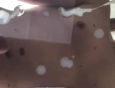 Snooped on My Young Bro's Phone This Hot Video