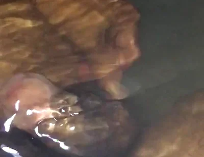 Peeing in the Bathtub