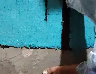 Hindi