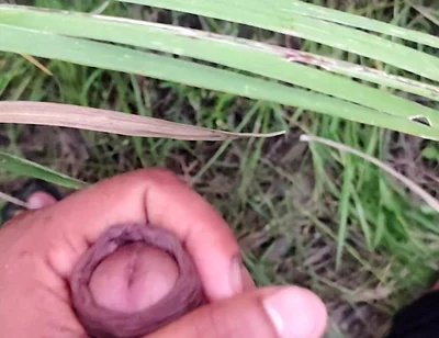 Masturbating in the Sugarcane Field