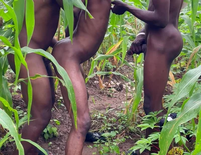 How I Had Sex with This Thuggish Guy with Huge Long Dick Inside a Corn Farm Land