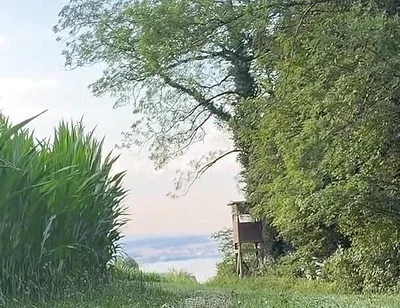 Risky Bwc Stroking Outdoors on Meadow with Lake View - Big Cumshot