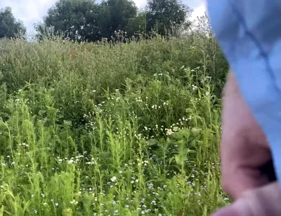 Found a Abandoned Boat at the Lake so I Decided to Play on It