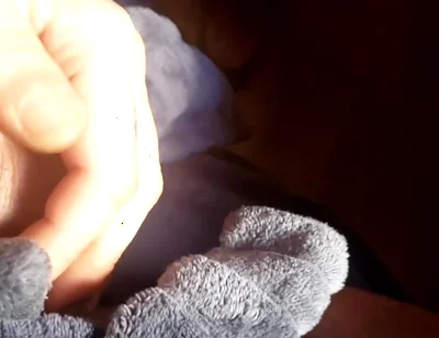 Swollen From All the Fucking, and Shaking Down a Fag
