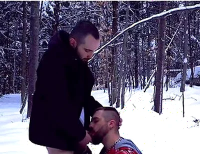 Two Straight Bearded Pig Unloading Their Balls In The Snowy Fields