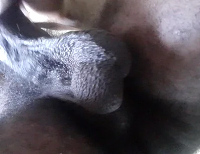 My Ball Sack Swings