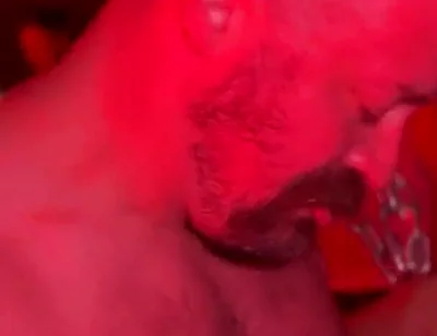 Bear Cruises the Dark Rooms