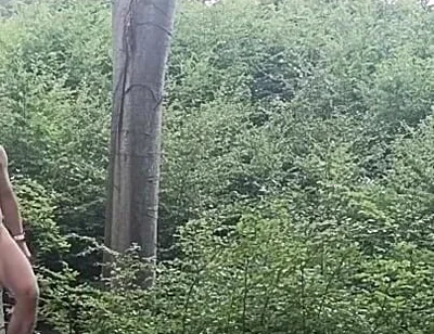 Between the Beeches: Rough Exhibition on Bare Wood
