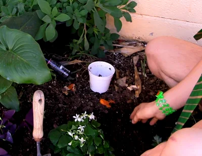 Giving the Plants Some Protein