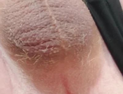 Assfuck with Vibrator