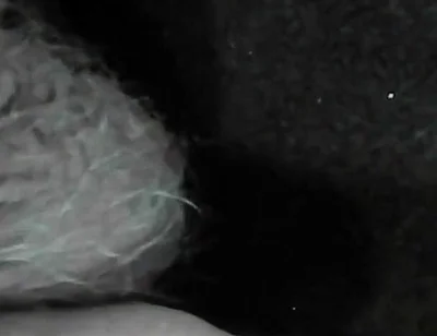 Arc of Sperm, Solo Amateur, Fountain