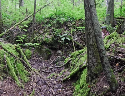 Gray Day Hiking