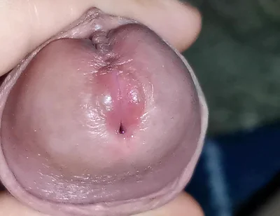 I Got Lost in the Amazon Jungle