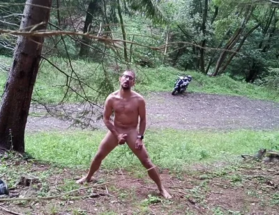Wild Slovak Nature