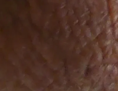 Closeup Desi Dick