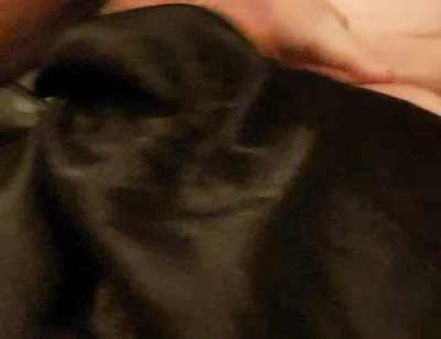 Slut's Cock and Tit Games