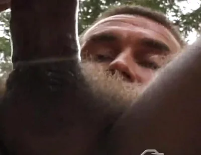 Lumberjacked: Crimes Against Nature