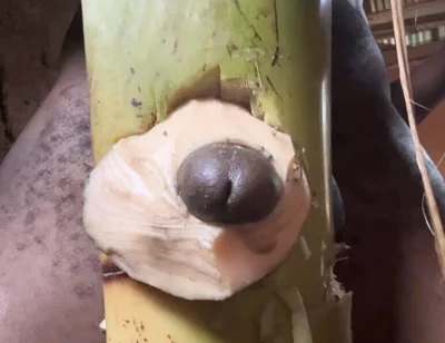 Hoter Way to Be Very Hard Strong Straight Cum Cute