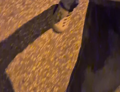 Pissing Jeans in Public