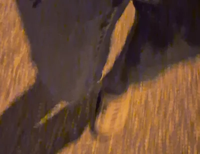 Pissing Jeans Outdoors