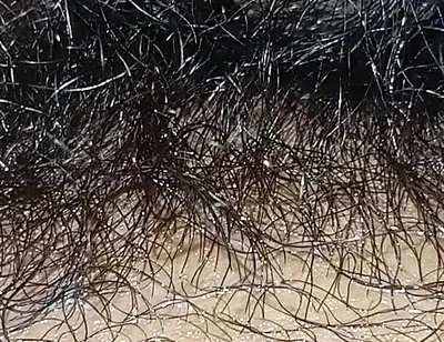 Handboy Masturbation After Frist Time