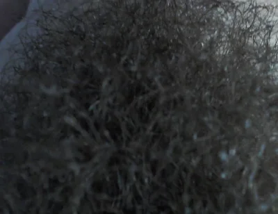 Hairy Pubic a Use Your Faces.