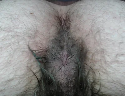 Cock Balls and Hairy Ass of Farts