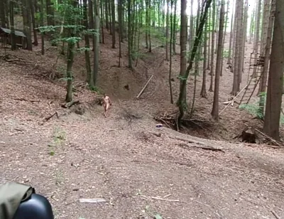 Wilderness Without Inhibitions Chasing in the Middle of the Forest