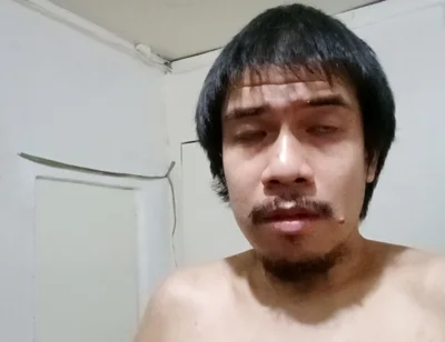 My Fighting Cock