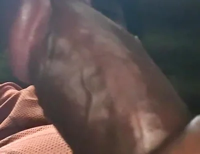 Playing with My Black Cock (jerking and Cumming)