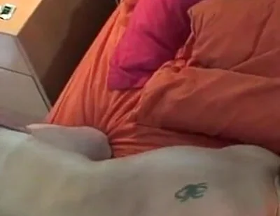 Rokko & Jony Fucks Sebaxxx