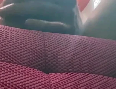 Camera Facing up From Floor See Head of 10 in Bwc Veiny