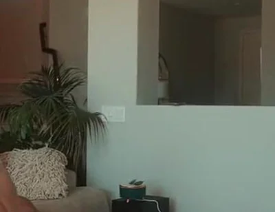 The Robery Was Cut and the Guy Got Punished