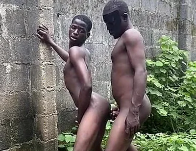 Bush Fucking Section