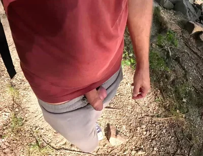 Surprise in the Foliage