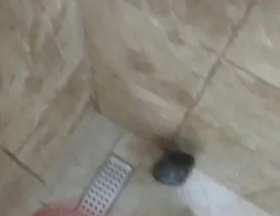 Masturbation Wash