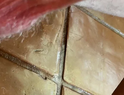 Dirty Talking Precum Covered Sloppy Cock