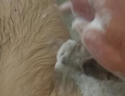 Bathroom Fun