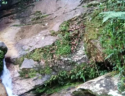 On a Walk to the River - Masturbation and Outdoor Urination