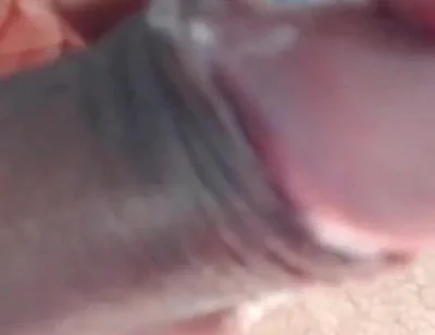 Macho Latin Stud Strips and Jerks His Uncut Cock for You