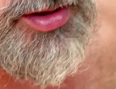 Love Sucking Cocks