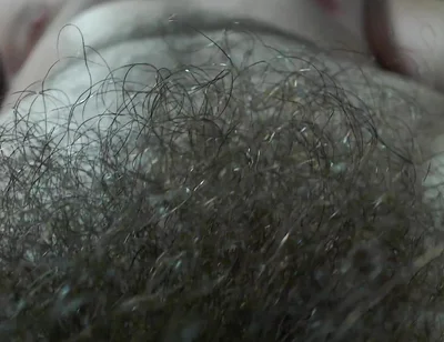 A Alpha's Hairy Pubic Area and Cock