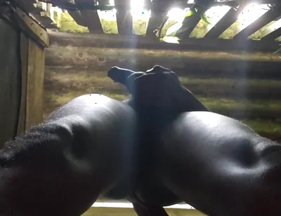 I Love to Play with My Balls and Black Dick