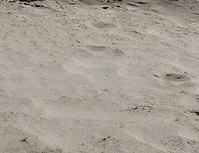 On the Beach Nude